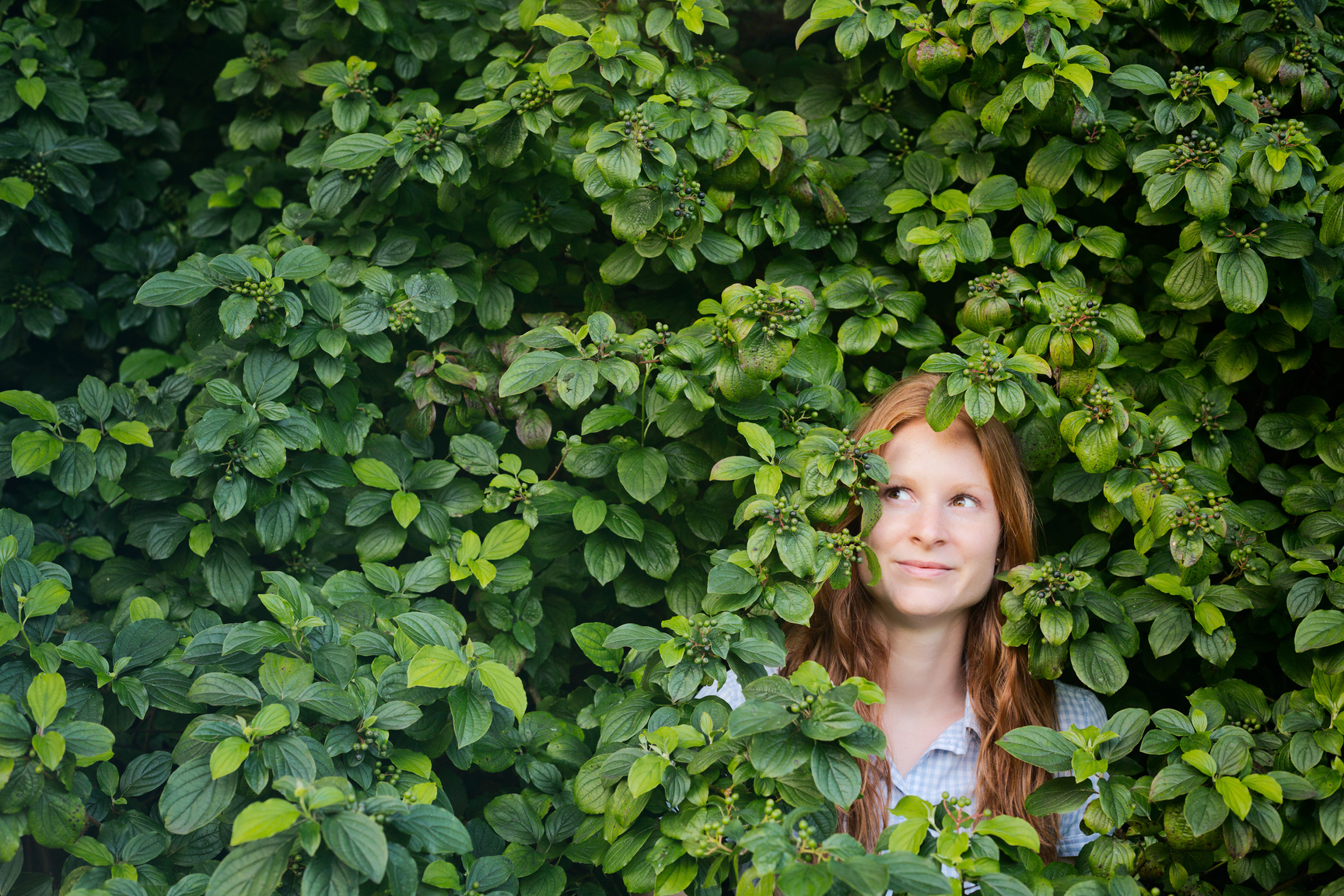 Ecology and Sustainable Living